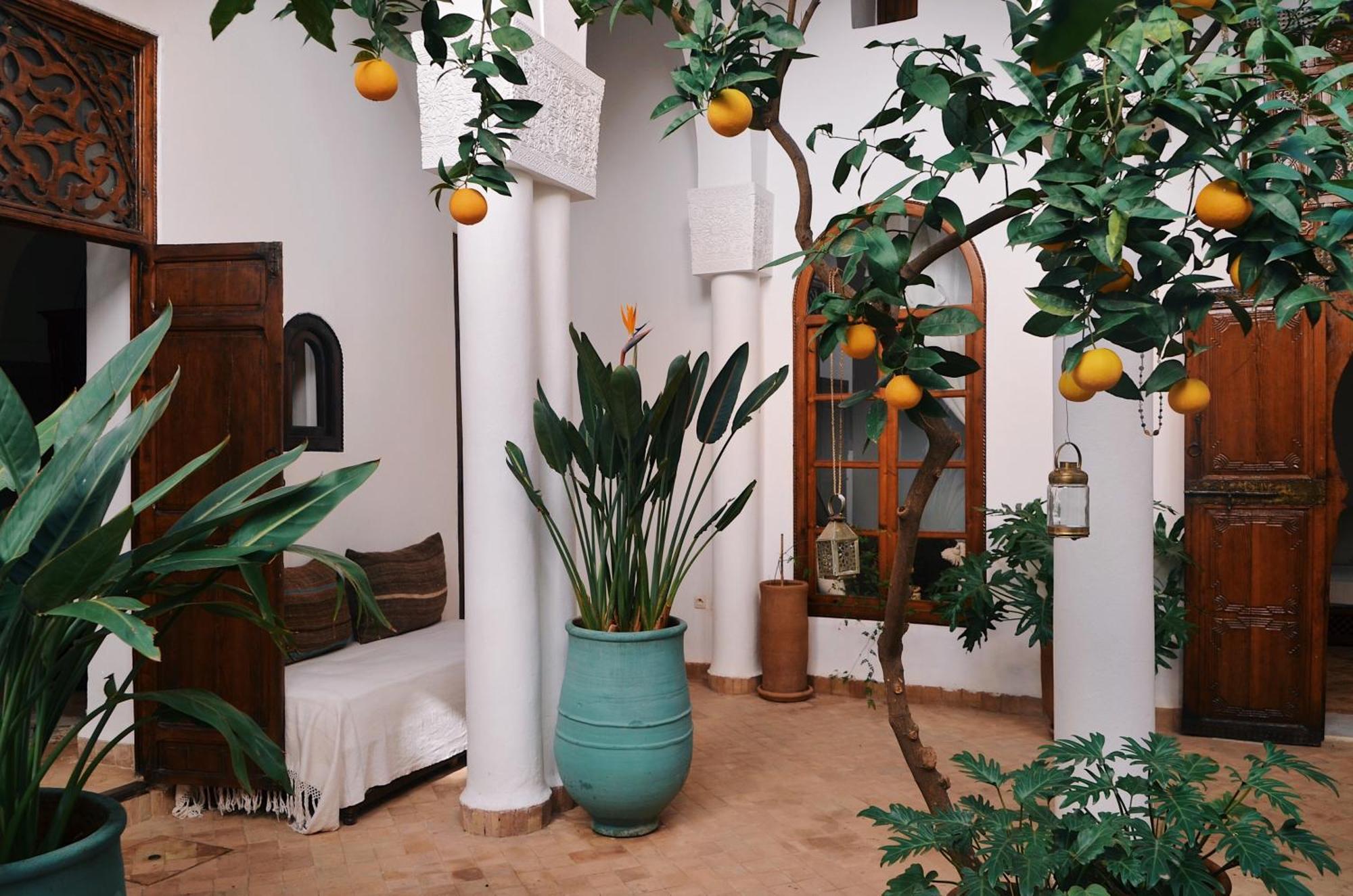 Nosade Venue Panzió Marrákes Kültér fotó